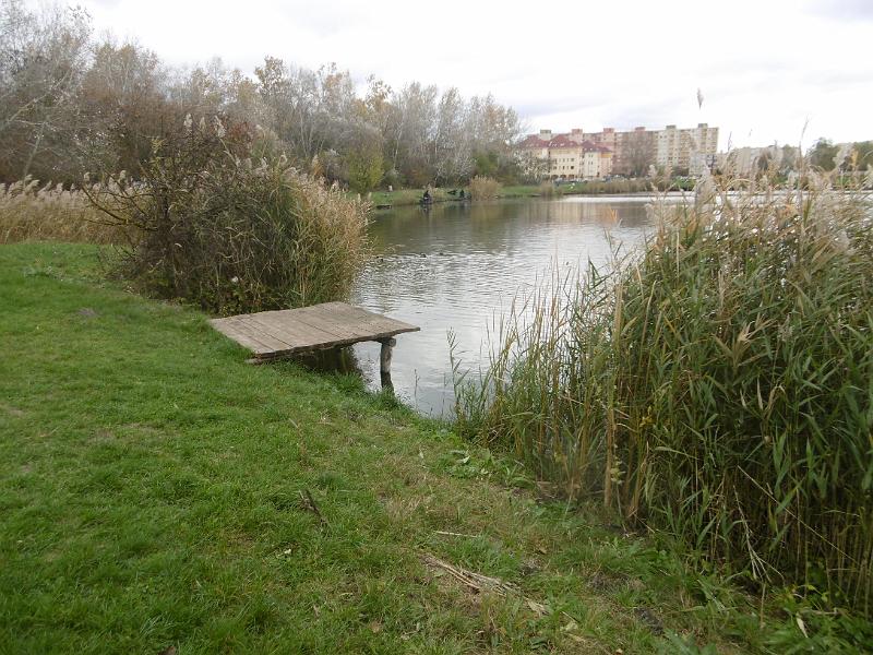P1090071.JPG