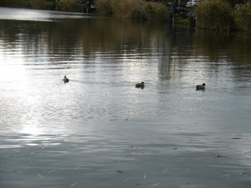 P1090076.JPG