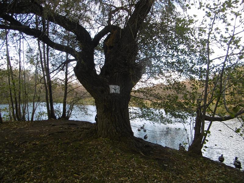 P1090116.JPG