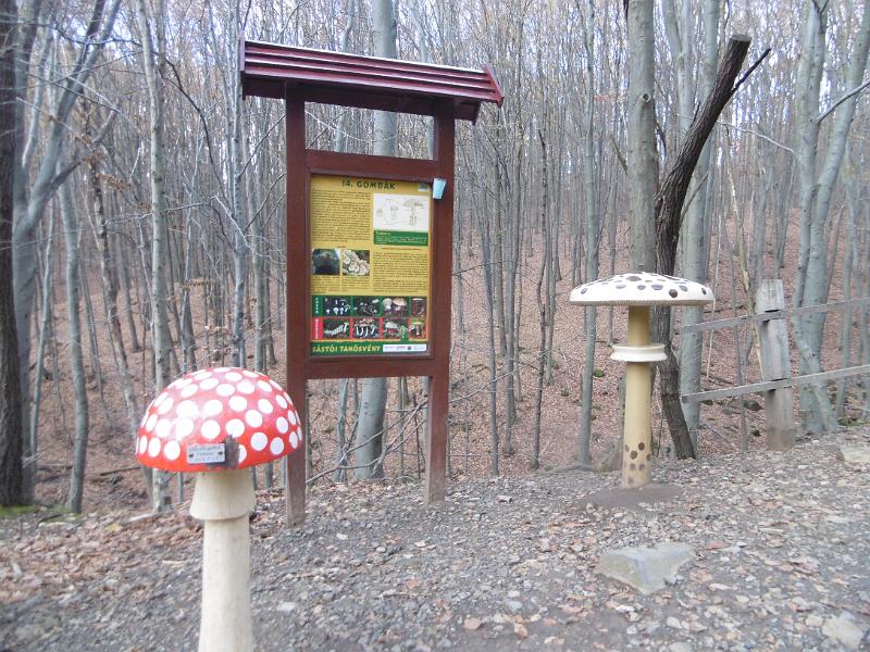 P1090127.JPG