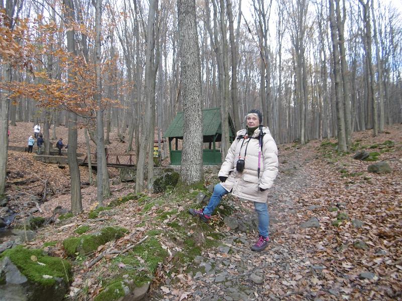 P1090134.JPG