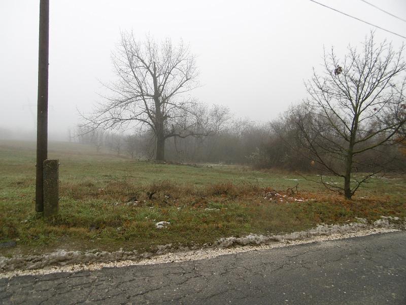 P1090138.JPG