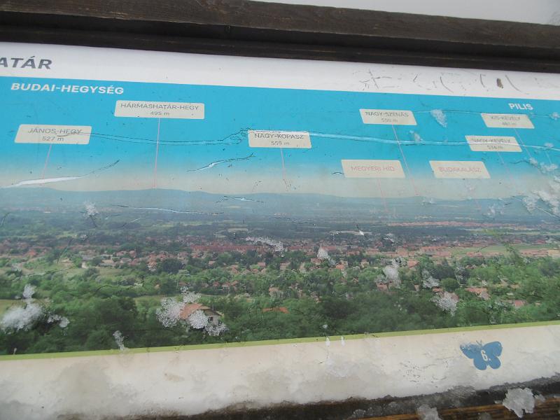 P1090141.JPG