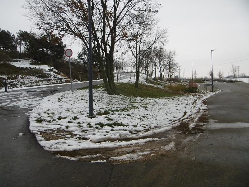 P1090146.JPG