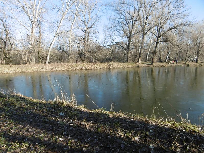 P1090184.JPG