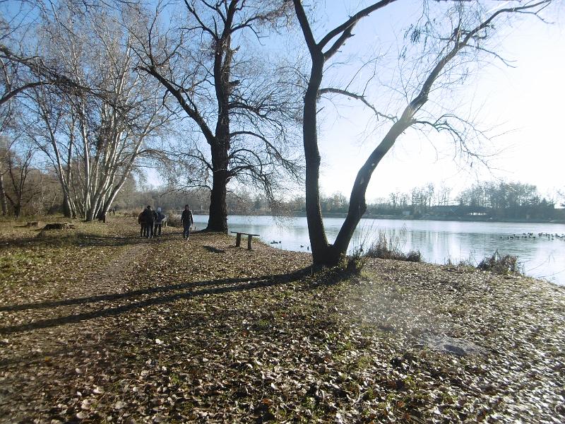 P1090186.JPG