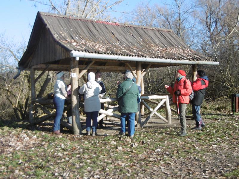 P1090188.JPG