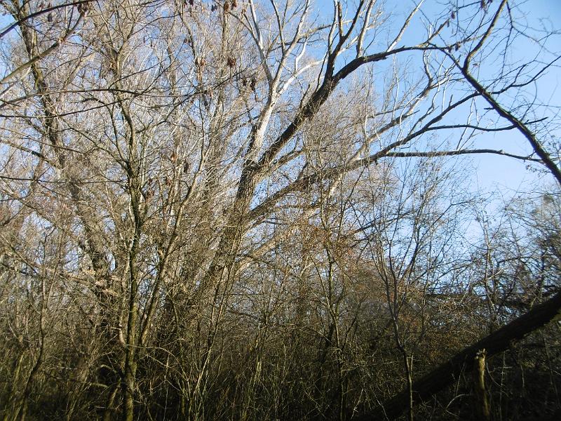 P1090244.JPG