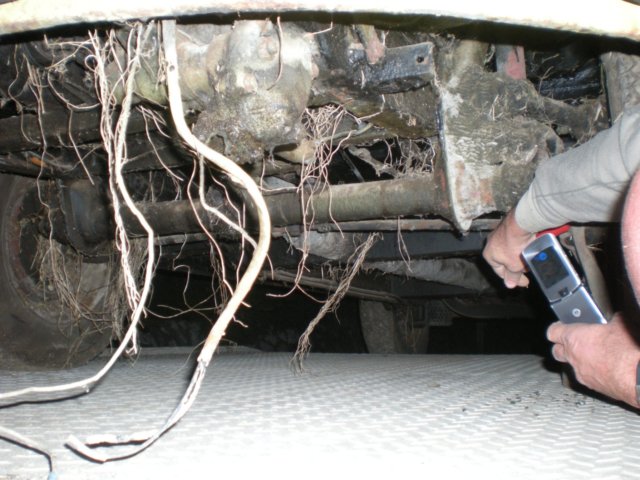 autk0812171.jpg