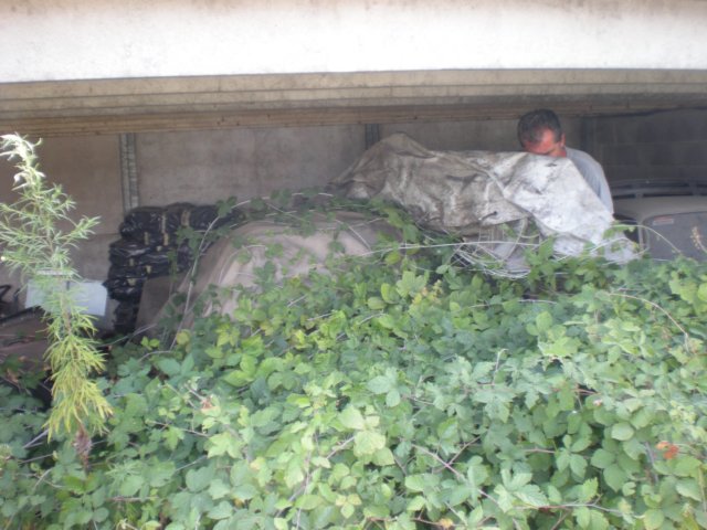 autk0809249.jpg