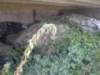 autk0809250_small.jpg