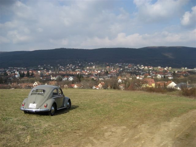 borpter.jpg