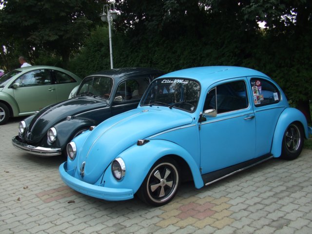szablszldscf8833.jpg