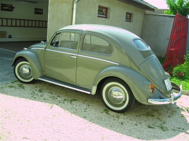 photo6.jpg