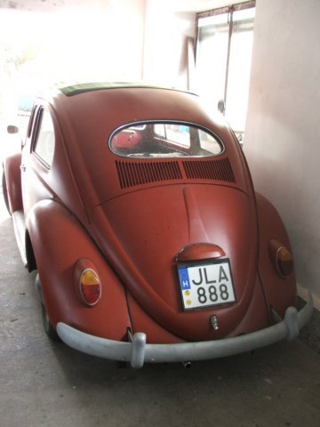 photo17.jpg