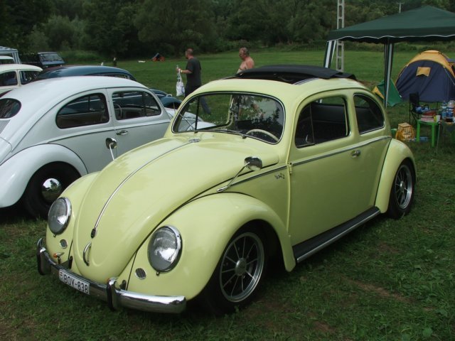photo9.jpg