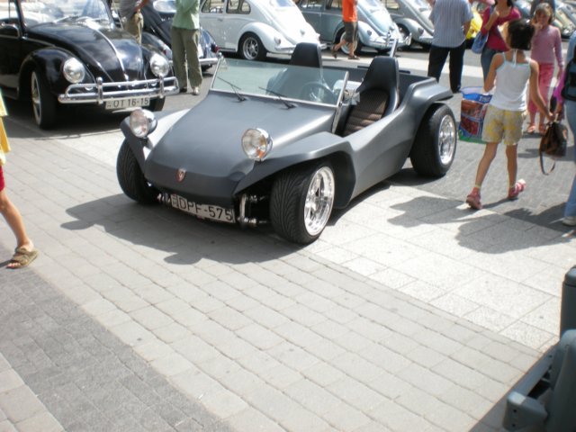bogarak030.jpg