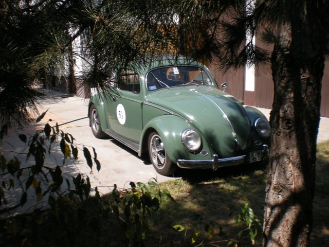 dscn7513.jpg