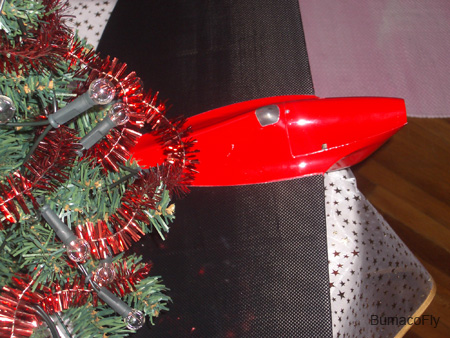 IMGP5204