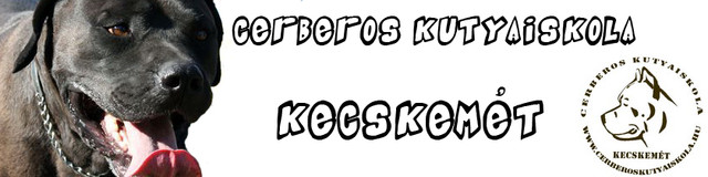 Cerberos kutyaiskola, Kecskem�t