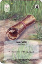 gyogyitas.jpg