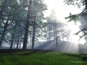 Morninglight