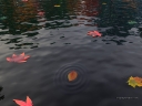 Zen