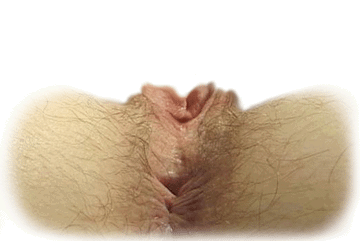 Egy kiss&eacute; bogaras