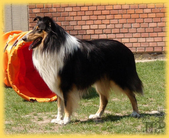 benji_2007.apri.jpg