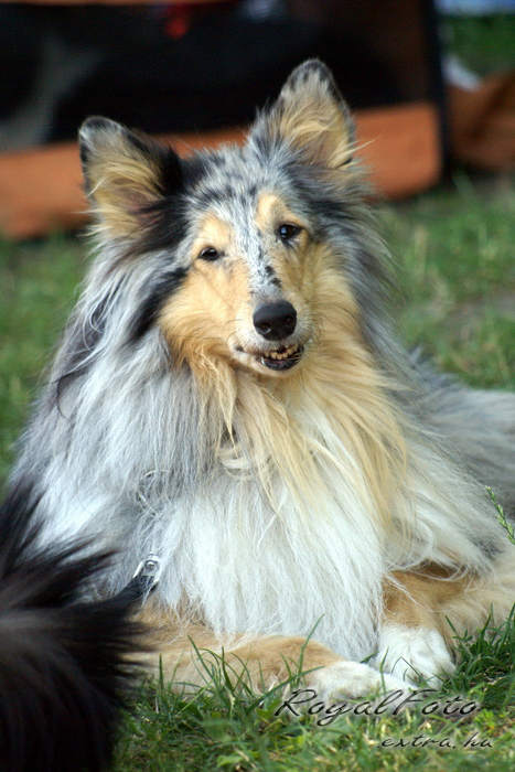 lily_monor2008.jpg