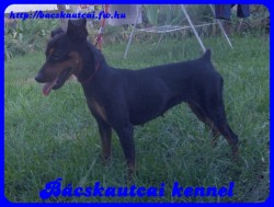  Bcskautcai Elza ""