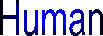 Human