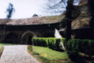 Nagydisznd