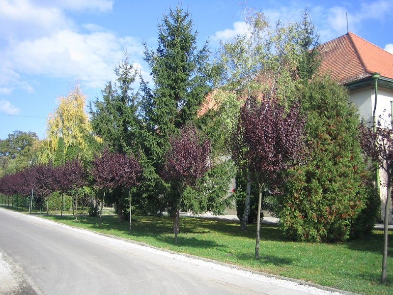 oszi_kepek05