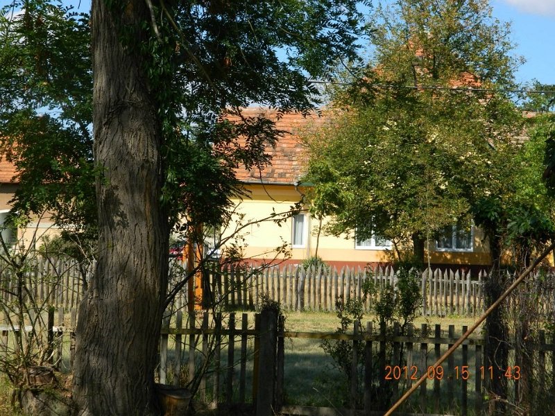 oszi_kepek10