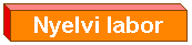 Nyelvi laborunk