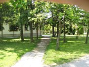 2005_0505Image0003