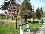 2005_0505Image0008