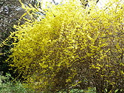 2005_0505Image0011