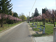 2005_0505Image0013