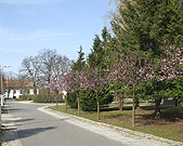 2005_0505Image0014