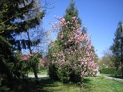2005_0505Image0015