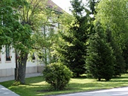 A nyári Csermajor