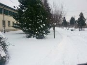 csermajor_telen_05