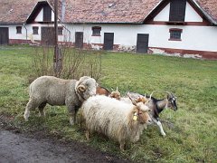 b_tangazdasag04