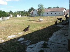 b_tangazdasag15