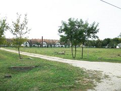 c_tangazdasag03