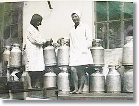 a regi tanmuhely