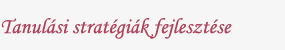 Tanulsi stratgik fejlesztse