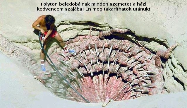 A forgatási képek titkai - VI. rész, 05.